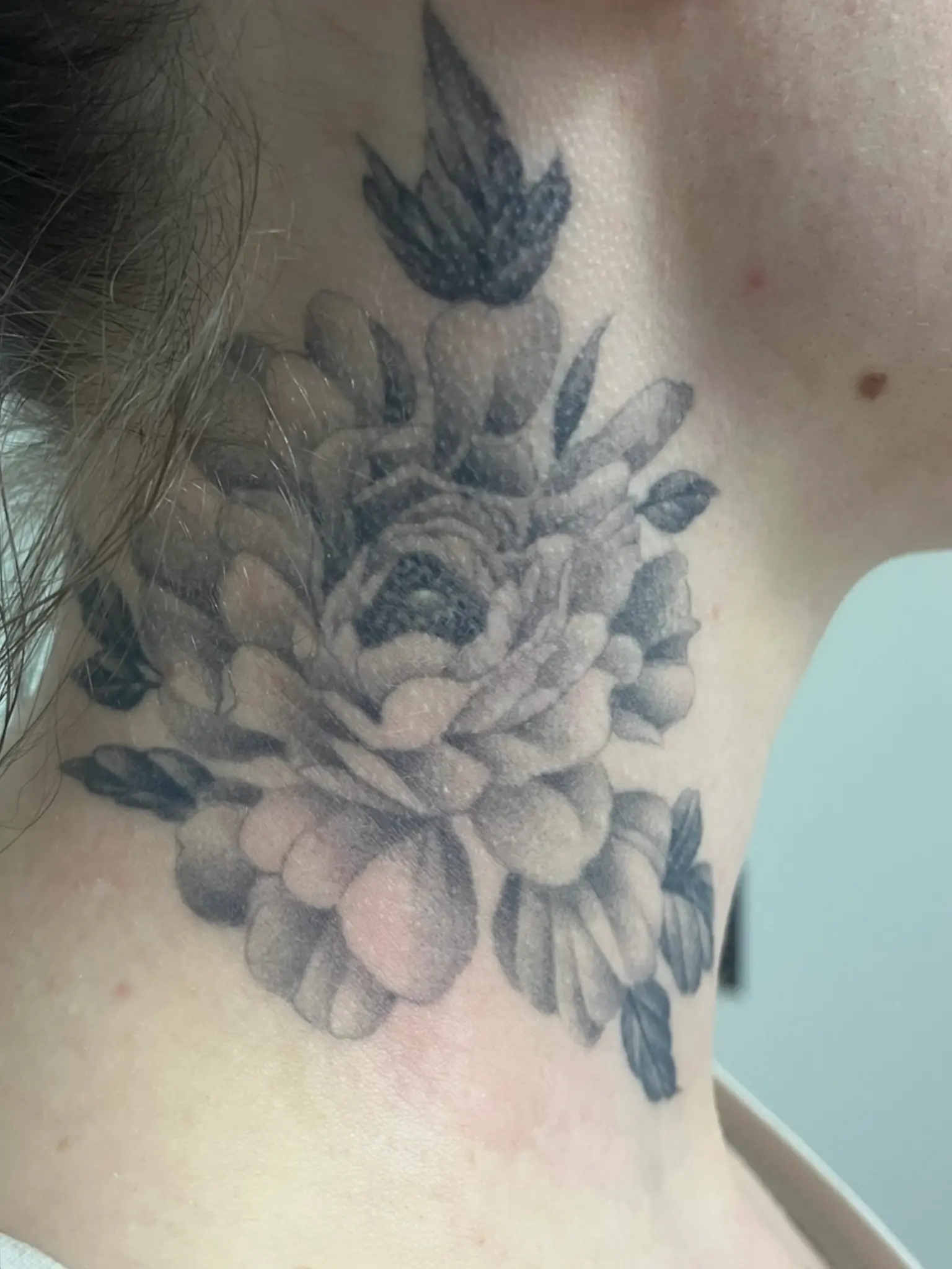 Avant — Pivoine et hirondelle nuque 